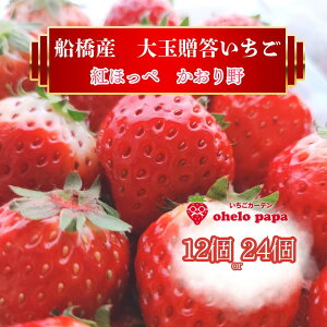 yӂ邳Ɣ[Łz 嗱 12 24 C`S   gق \ s\ st ʌ Ԍ ʕ t[c \ Mtg 