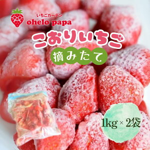 yӂ邳Ɣ[ŁzE݂ĕX 2kg Ⓚ  C`S 