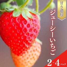 【ふるさと納税】甘さ濃厚 ジューシーいちご 2パック 4パック 苺　甘い　家庭用　よつぼし　おいCベリー　紅ほっぺ　やよいひめ　イチゴ