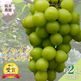 【ふるさと納税】桜井農園のシャインマスカット
