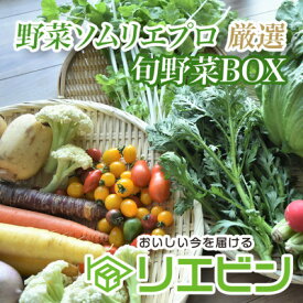 【ふるさと納税】野菜ソムリエプロ厳選!こだわりの旬野菜BOX「リエビン」季節の野菜セット【配送不可地域：離島・沖縄県】【1488314】