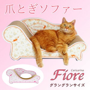 yӂ邳Ɣ[ŁzL̂܂Ƃ\t@uJJ[iFiorev(3TCYE3FI)yG1512884z