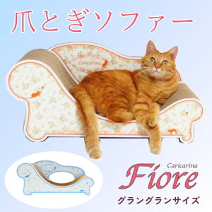 yӂ邳Ɣ[ŁzL̂܂Ƃ\t@uJJ[iFiorev(3TCYE3FI)yG1512884z