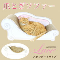 楽天市場】カリカリーナ ルーチェの通販