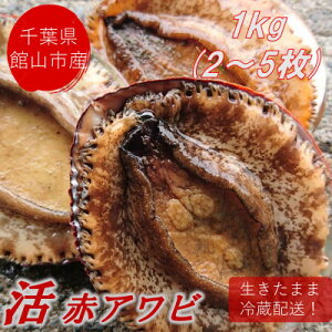yӂ邳Ɣ[Łzys\zyjzt!VRKCAr1kg(2`5)yzsnFEkCEꌧEkEElEBzy1532974z
