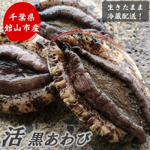 yӂ邳Ɣ[Łzys\zyjzt!VRAr1kg(2`5)yzsnFEkCEꌧEkEElEBzy1532976z