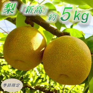 yӂ邳Ɣ[ŁzyʌzَRꎓʎ̊nuV(ɂ)v6`9y1534578z