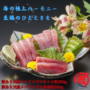 yӂ邳Ɣ[Łzy󂠂zVR~i~}Og&VRo`}OԐg(ꂼ300g)yzsnFzy1585564z