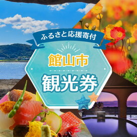 【ふるさと納税】エンジョイ館山観光券 30,000円分【1659481】