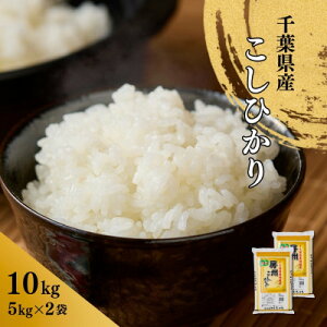 yӂ邳Ɣ[ŁztYЂ()10kg(5kg×2)y1673834z