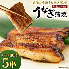 【ふるさと納税】天然 に近づけた究極の養殖 鰻「坂東太郎 使用」 うなぎ 蒲焼 小サイズ 80g前後×5串【配送不可地域：離島】【1488907】