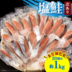 yӂ邳Ɣ[Łzy󂠂z 20؂ 1kg()_   TP 󂠂    lC  yzsnFzy1589096z