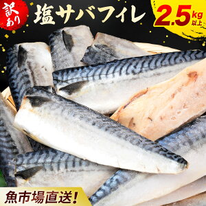 yӂ邳Ɣ[Łz󂠂 To ؍XËs꒼IsTotB[ 2.5kg ȏ To  I To  I 󂠂 A L ؐg ؂g tB[ Ⓚ ؍XÎs  CN