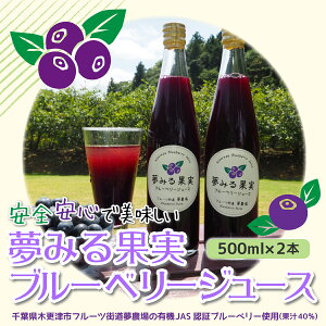 yӂ邳Ɣ[ŁzL@͔|u[x[gp݂ʎu[x[W[Xiʏ`40j500ml×2{ ӂ邳Ɣ[ u[x[ u[x[W[X t ؍XÎs  KAA001