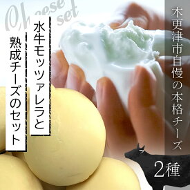 【ふるさと納税】水牛モッツァレラと熟成チーズのセット / チーズ cheese モッツァレラ カチョカバッロ 水牛 ブランスイス 生乳 贅沢 熟成 ワイン ギフト 千葉県 木更津市 KCR001
