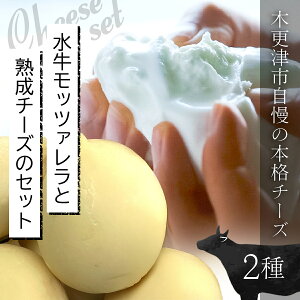 yӂ邳Ɣ[Łzbc@Ən`[ỸZbg / `[Y cheese bc@ J`Job  uXCX  ґ n C Mtg t ؍XÎs KCR001