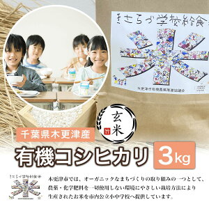 yӂ邳Ɣ[Łzyāzt؍XÎY@L@RVqJ@3kg ӂ邳Ɣ[  RVqJ L@ I[KjbN t ؍XÎs  KCL007-1