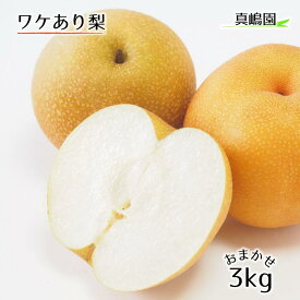 【ふるさと納税】梨 フルーツ 訳あり 品種おまかせ 3kg 千葉 詰め合わせ 期間限定 ワケあり 松戸産 まつどの梨 おいしい 果物 旬 完熟梨 真嶋園 幸水 豊水 あきづき 新高 2024年 貴重 おすすめ