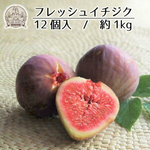 yӂ邳Ɣ[ŁzC`WN  ʎ h[tB 6  500g 12  1kg t[c H@ JE e N W R|[g   Ԍ VN J[ ς t@[