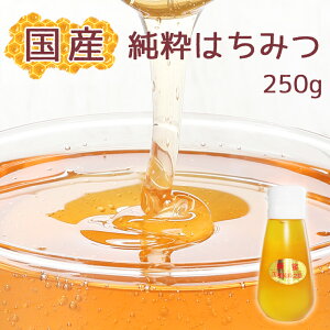 【ふるさと納税】【蕃昌みつばち倶楽部】国産純粋はちみつ 250g