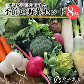 【ふるさと納税】厳選 おまかせ 野菜 8種 詰め合わせ 福袋 戸張農園