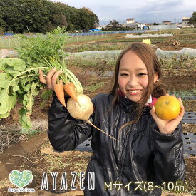 【ふるさと納税】旬 自然栽培 野菜 M 8～10品 詰め合わせ 福袋