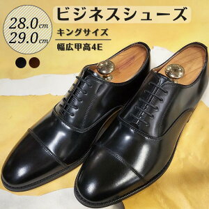 yӂ邳Ɣ[ŁzC vC rWlXV[Y v L b 4E 28.0cm 29.0cm KING350 LOTCY R[WC amC YV[Y Y {v ʋ v   X[c rWlX  