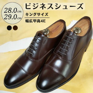 yӂ邳Ɣ[ŁzC vC rWlXV[Y v L b 4E 28.0cm 29.0cm KING350 LOTCY R[WC amC YV[Y Y {v ʋ v   X[c rWlX F