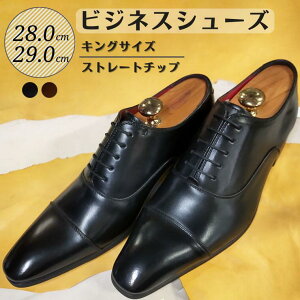 yӂ邳Ɣ[ŁzC vC rWlXV[Y v Xg[g`bv 28.0cm 29.0cm KING750 LOTCY R[WC amC YV[Y Y {v ʋ v   X[c rWl