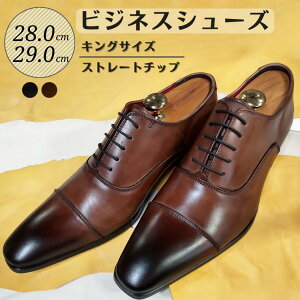 yӂ邳Ɣ[ŁzC vC rWlXV[Y v Xg[g`bv 28.0cm 29.0cm KING750 LOTCY R[WC amC YV[Y Y {v ʋ v   X[c rWl