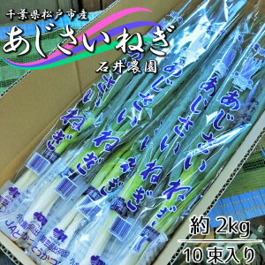 yӂ邳Ɣ[ŁzΈ䂳Ƃ̂˂ 2kg