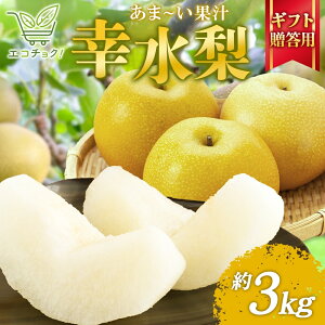 yӂ邳Ɣ[Łz2026Ns\ GR`N K p 3kg  Ȃ ʕ   t[c { 傭 ႫႫ VLVL { {̉ʕ 퉷 i v[g 蕨 j