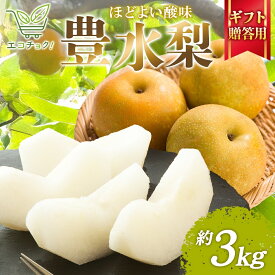 【ふるさと納税】2026年先行予約 エコチョク 豊水 3kg 贈答用 梨 なし 果物 くだもの 青果 フルーツ 旬 えこちょく しゃきしゃき シャキシャキ 旬 旬の果物 常温 贈答品 プレゼント 贈り物 お祝い 産地直送 果汁 お取り寄せ お取り寄せフルーツ 送料無料 千葉県 松戸市
