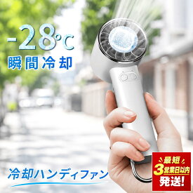 【ふるさと納税】ハンディファン (ホワイト) 手持ち 扇風機 ネッククーラー 瞬間冷却 冷却プレート 卓上扇風機 クーラー 強風 充電式 静音 軽量 小型 ミニ 長時間 コンパクト おしゃれ 携帯扇風機 熱中症対策 暑さ対策 通勤 通学 旅行
