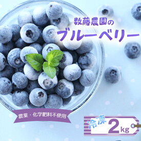【ふるさと納税】 冷凍ブルーベリー 2kg 農薬・化学肥料不使用 ／ ブルーベリー フルーツ 完熟 大粒 冷凍 果物 国産 産地直送 無添加 スイーツ ヨーグルト トッピング ジャム スムージー おやつ 旬 送料無料 千葉県 No.322