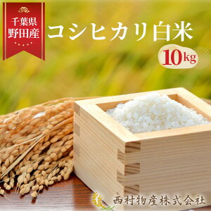yӂ邳Ɣ[ŁzNo.148 cYRVqJ10kg ^ Ђ   |   t