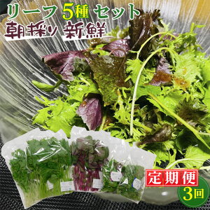 yӂ邳Ɣ[ŁzNo.157 y3ẑ肨l[t5Zbg ^ xr[[t~bNX G    t