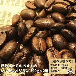 yӂ邳Ɣ[ŁzNo.170 Ă̂߃VOIW 200g×2 Iׂ҂ ^ R[q[  ̂܂ e҂ ҂ ה҂ ɍה҂  t