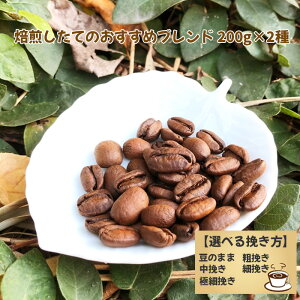 yӂ邳Ɣ[ŁzNo.171 Ă̂߃uh 200g×2 Iׂ҂ ^ R[q[  ̂܂ e҂ ҂ ה҂ ɍה҂  t