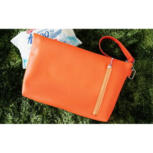 yӂ邳Ɣ[ŁzNo.241 ㎿ȓ{ނ|[`uocchiv ^ Vv [ R   t