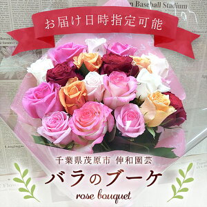 yӂ邳Ɣ[Łzõu[P ӂ邳Ɣ[ u[P  o KN 蕨 ̓ a LO t Όs MBAJ001