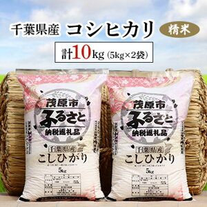 yӂ邳Ɣ[Łzߘa7NY tYRVqJ  10kg(5kg×2) ӂ邳Ɣ[ RVqJ    t Όs MBAD001