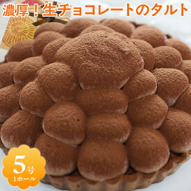 【ふるさと納税】濃厚！生チョコレートのタルト / ふるさと納税 生チョコレート チョコレート タルト ラズベリー スイーツ ケーキ カフェスイーツ 5号 千葉県 茂原市 MBAT005
