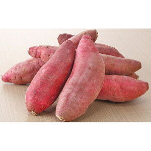 yӂ邳Ɣ[Łz͔|Ԓ_sgp̂܂ig͂邩j  C @͂F2025N12{`2026N3{