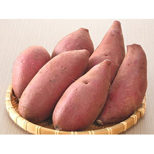 yӂ邳Ɣ[Łz͔|Ԓ_sgp̂܂iVNXB[gj  C @͂F2025N12{`2026N3{