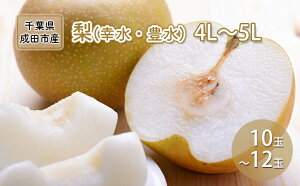 yӂ邳Ɣ[Łz K L 4L`5L 10ʁ`12 Ȃ iV a ʕ  t[c {̃t[c {̉ʕ fU[g t t cs@͂F2025N720`930