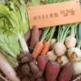 【ふるさと納税】【農家直送】農薬不使用季節の野菜セット（10品）　【野菜・セット・詰合せ】