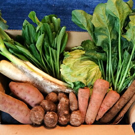 【ふるさと納税】おかげさま農場の野菜のおまかせセット（無化学農薬・肥料栽培）　【野菜・セット・詰合せ・季節の野菜・詰め合わせ】