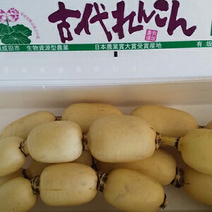 yӂ邳Ɣ[Łz gÑ񂱂h 4kg   R 4kg @͂F2025N11{`2026N2{