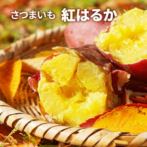 yӂ邳Ɣ[Łz܈(g͂邩j  Tc}C ܂ @͂F2026N2{`4{